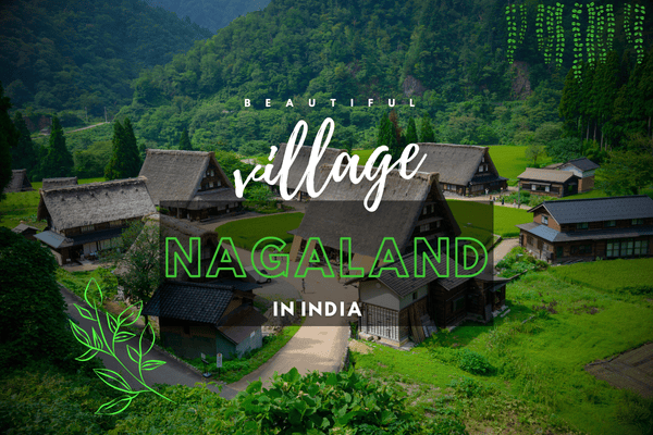 Nagaland